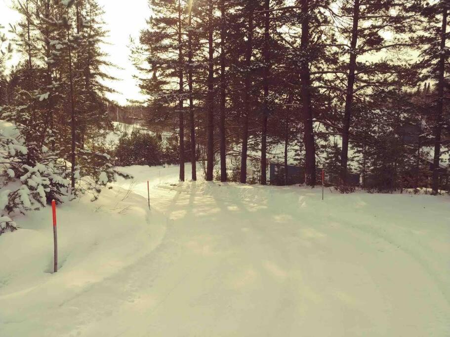 Le Chalet Bleu, Aux Pieds Des Monts-Valin Saint-David-de-Falardeau Экстерьер фото